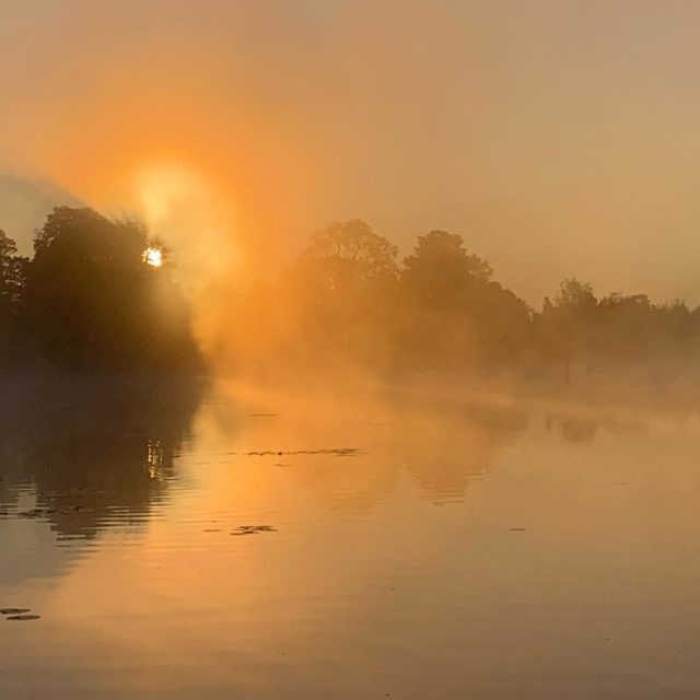 The fog must go...Jesus the Light of the world has come.