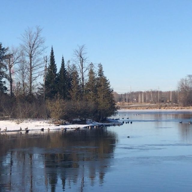 Life is beautiful in Canada 🇨🇦